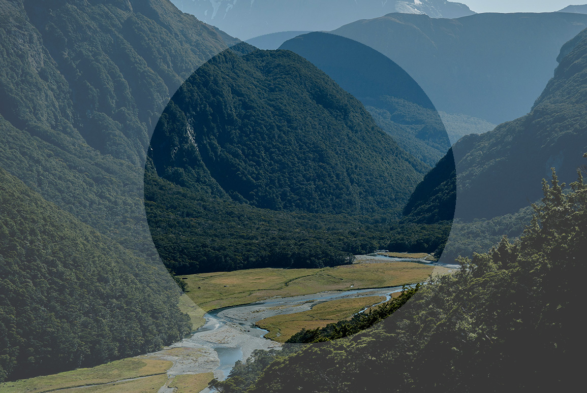 Be Bold: Why natural capital is central to New Zealand’s next chapter