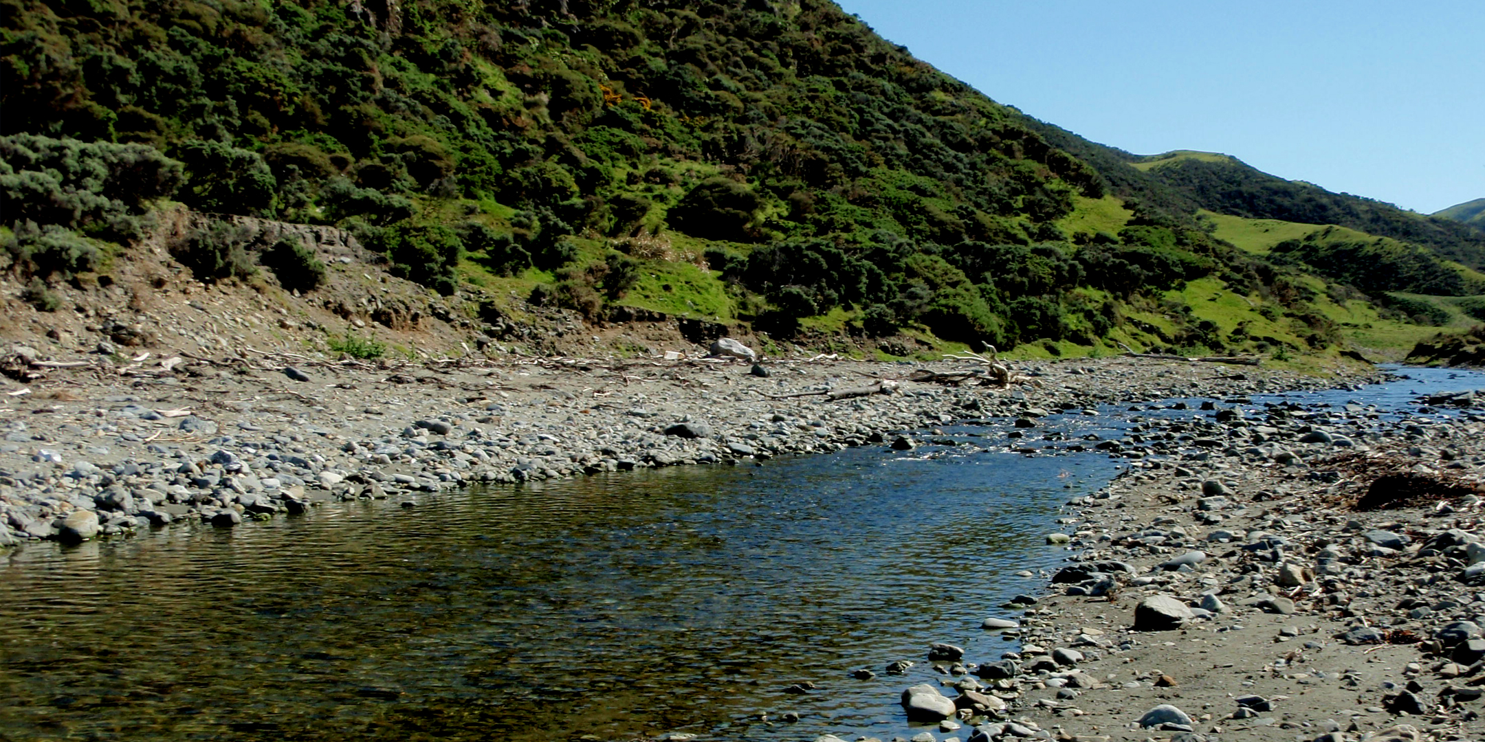 Oteranga Stream Restoration