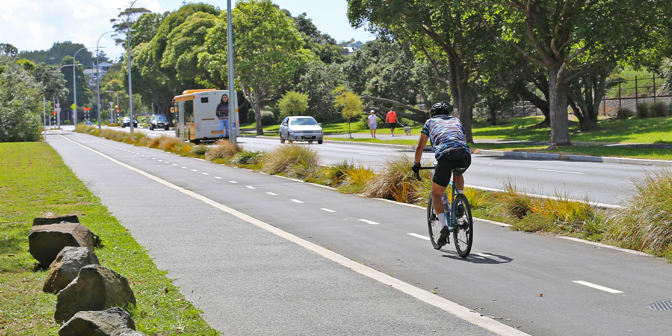 Point Chevalier to Westmere Corridor