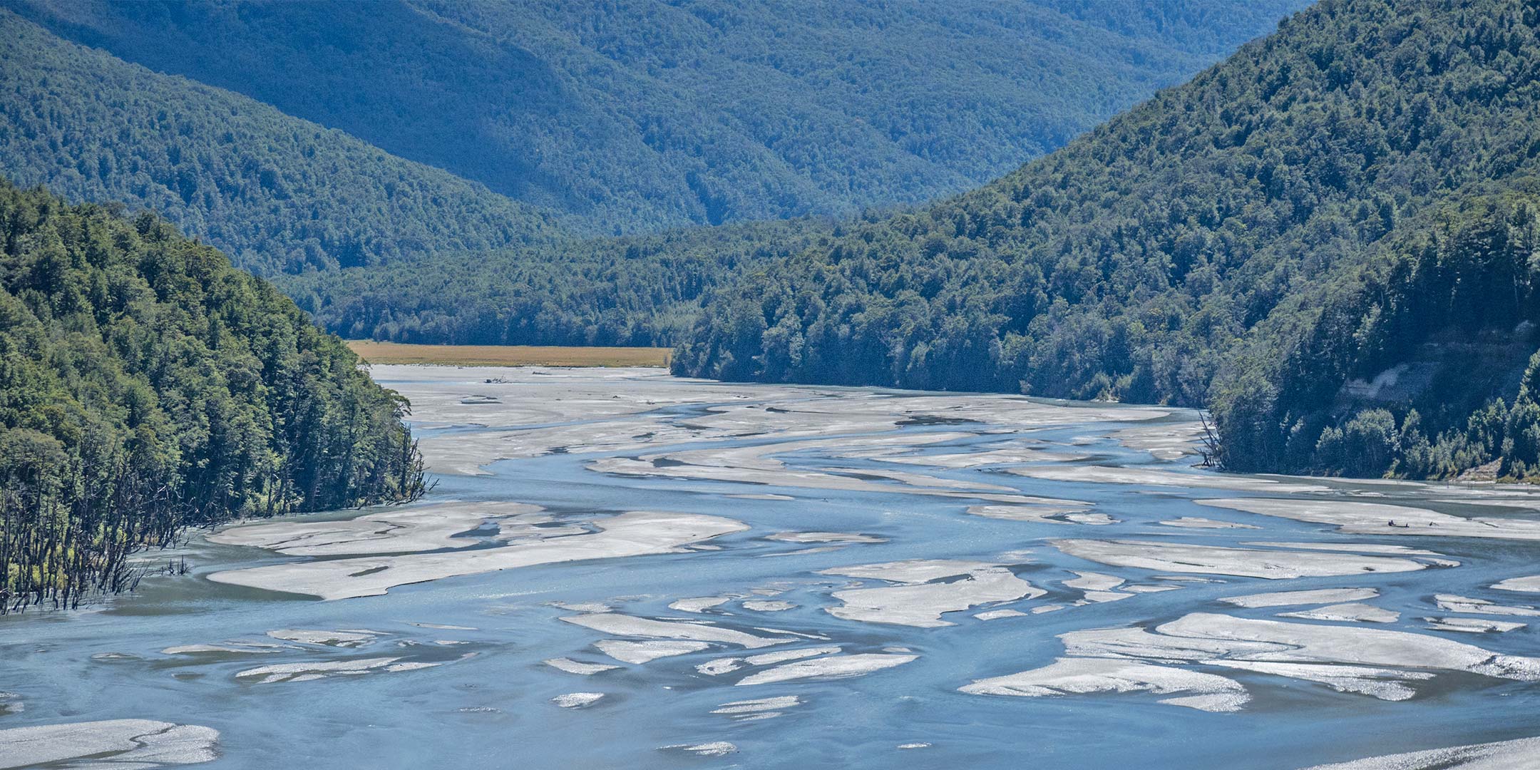 Dart and Rees Rivers Weed Management Strategy
