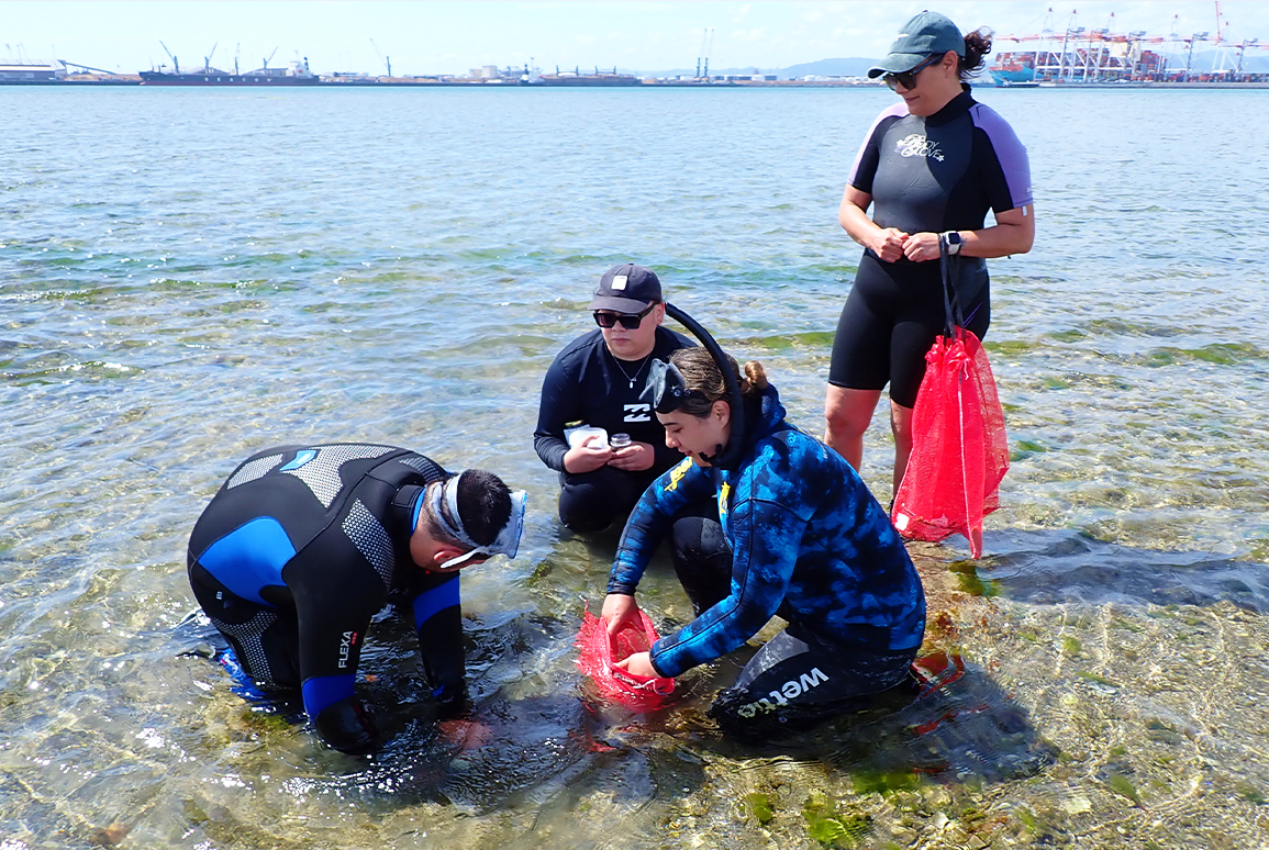A collaboration of Mātauranga Māori and Western Science in Tauranga Harbour