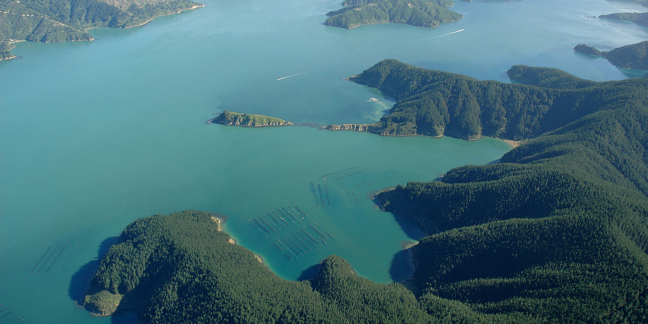 Natural Character of the Marlborough Coast