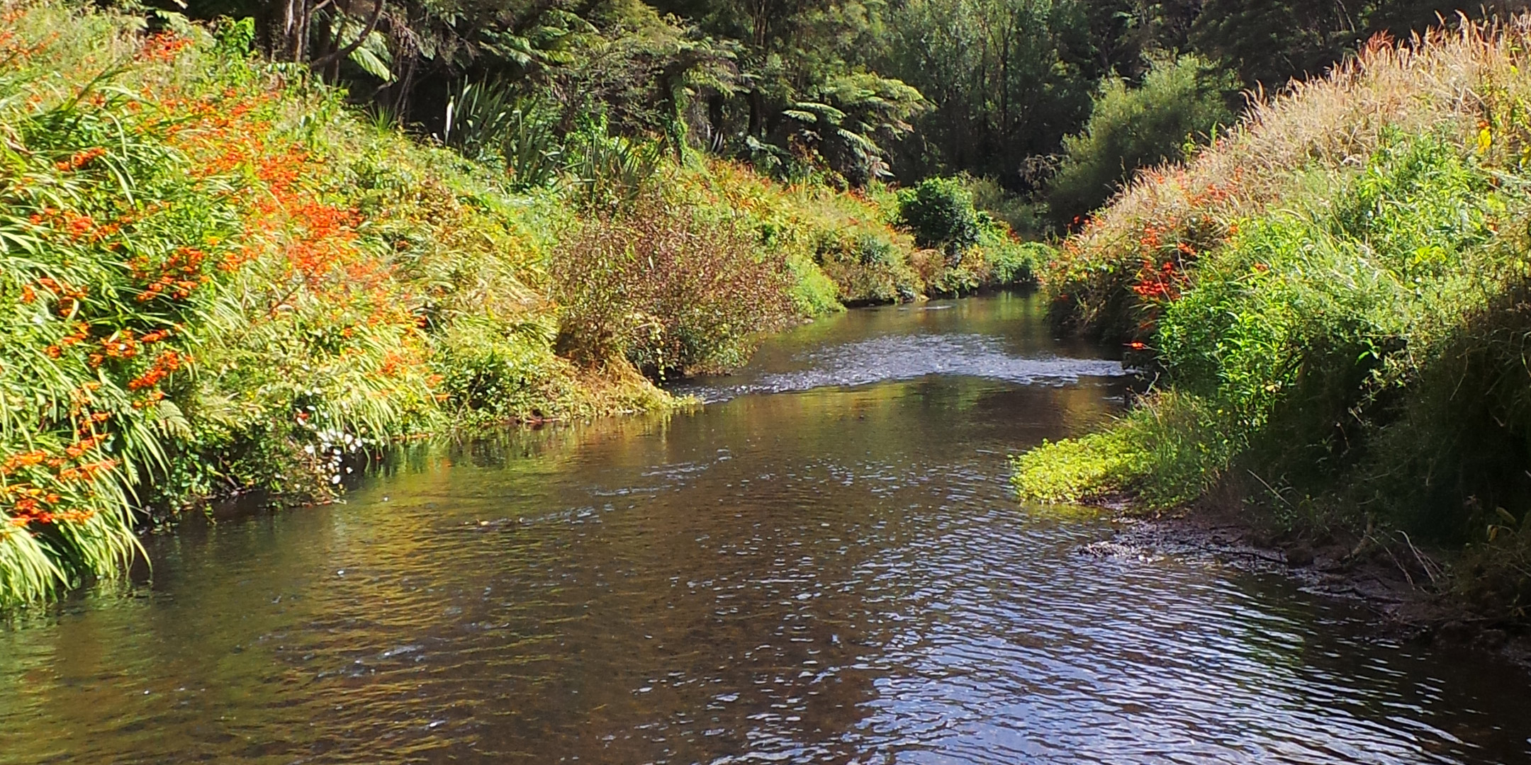 YMCA Camp Adair Wastewater Management Strategy