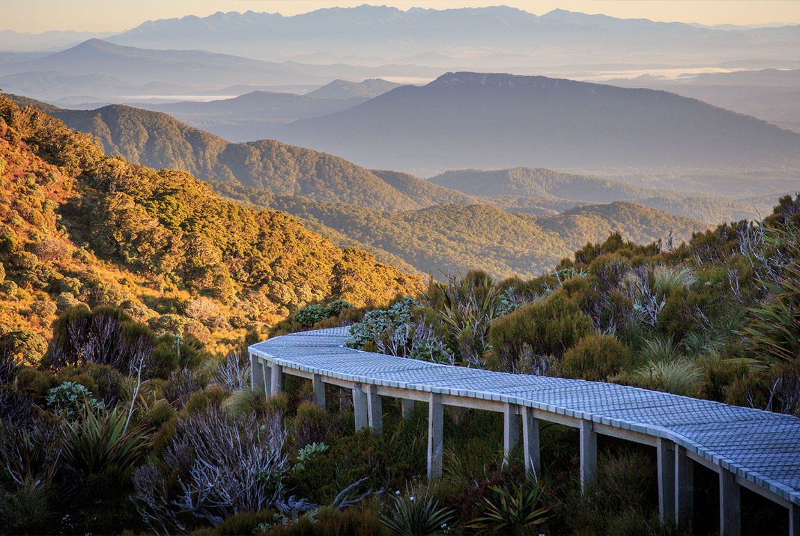 Be Bold: taking action to accelerate and scale the use of Nature-based Solutions in Aotearoa