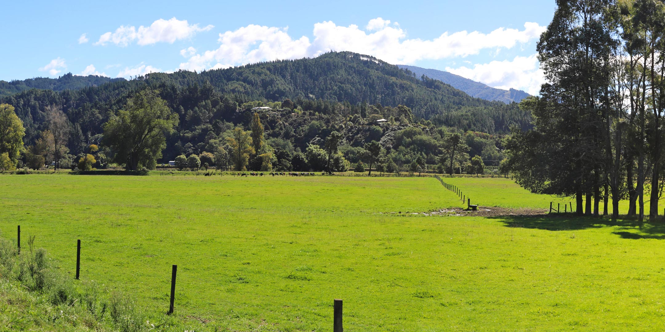 Gravel Extraction - Peach Island Road